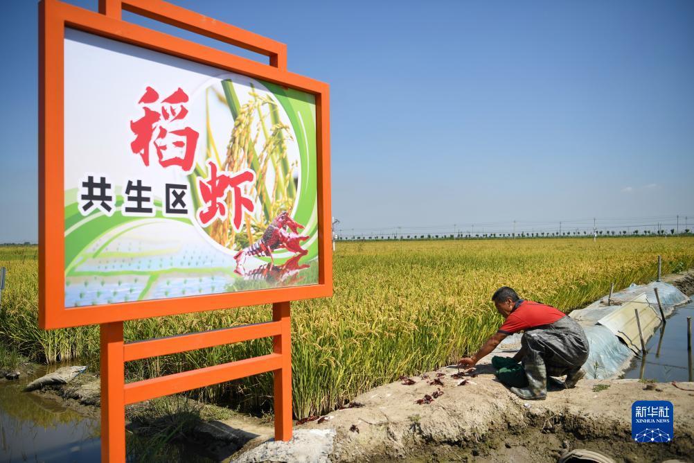 捕鱼达人之海底捞哪个公司